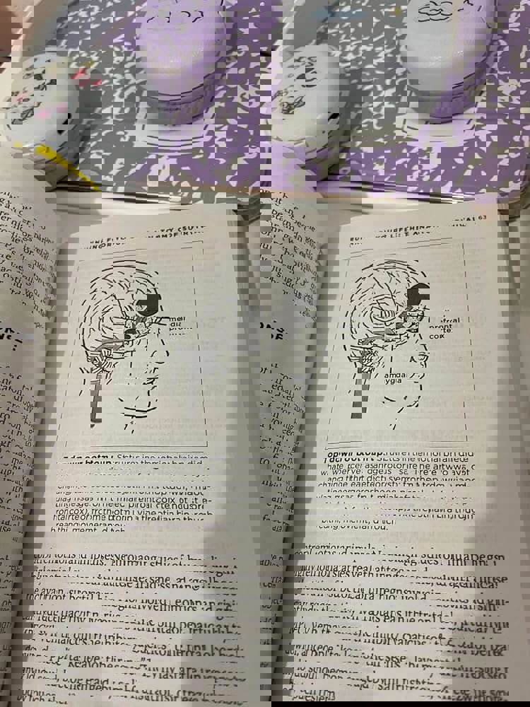 1265271