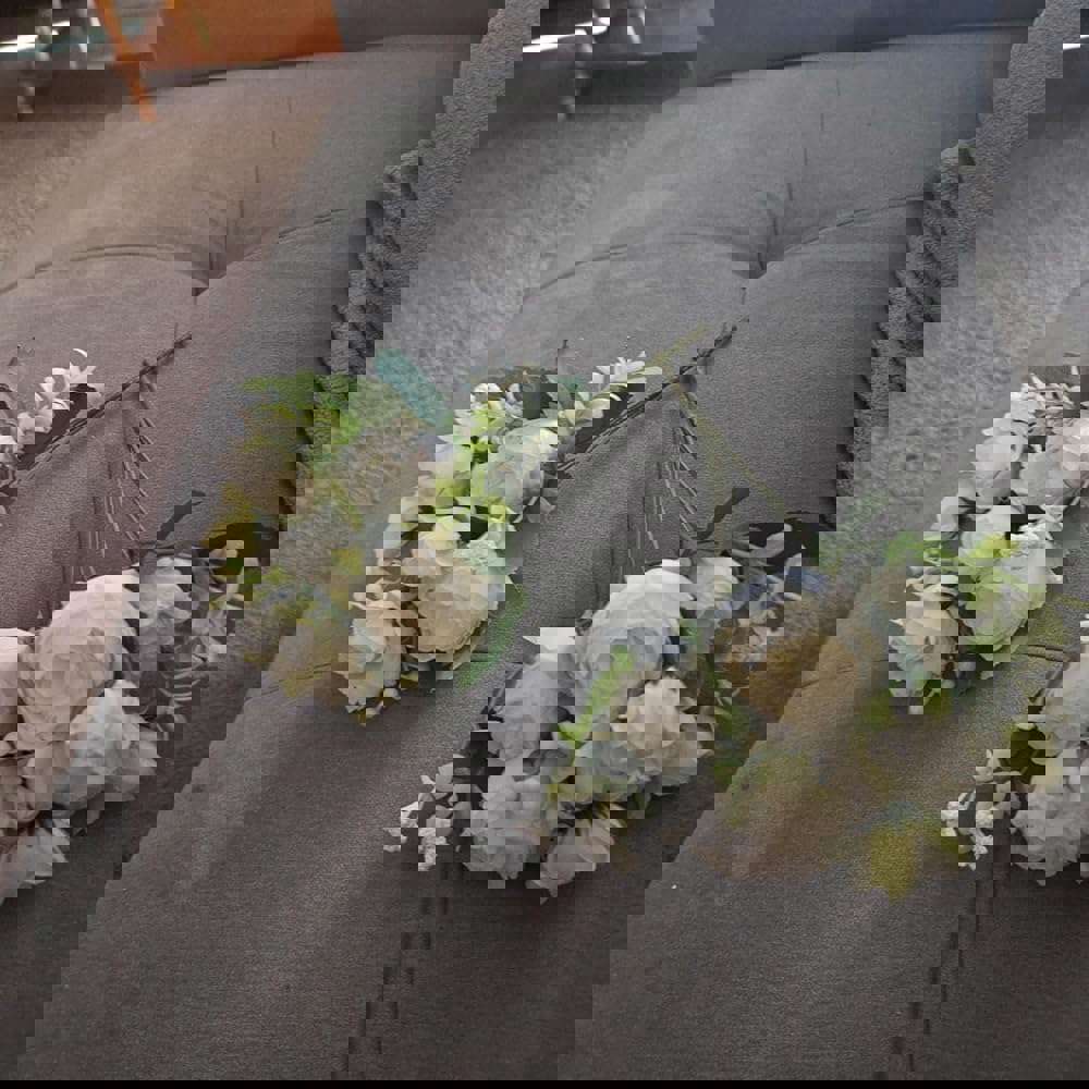 1269274