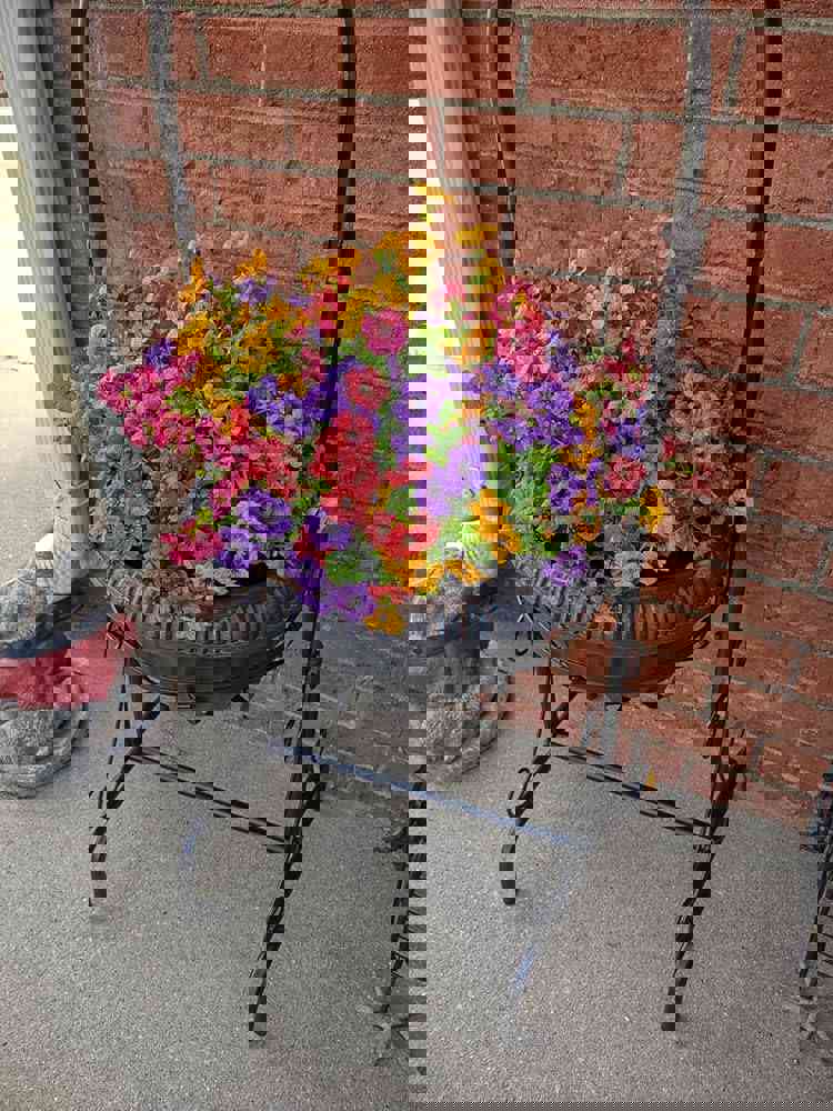 1270464