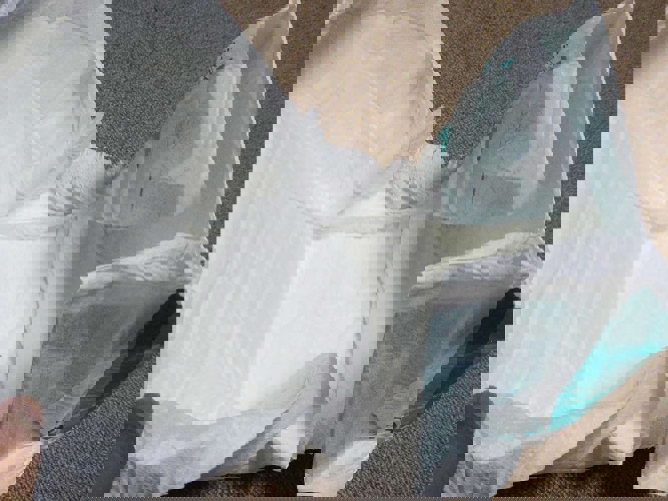 1269239