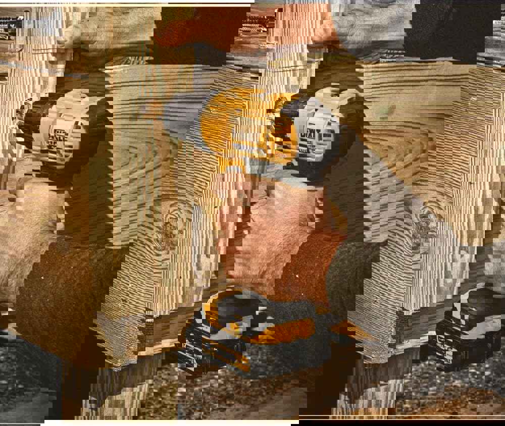 1269243