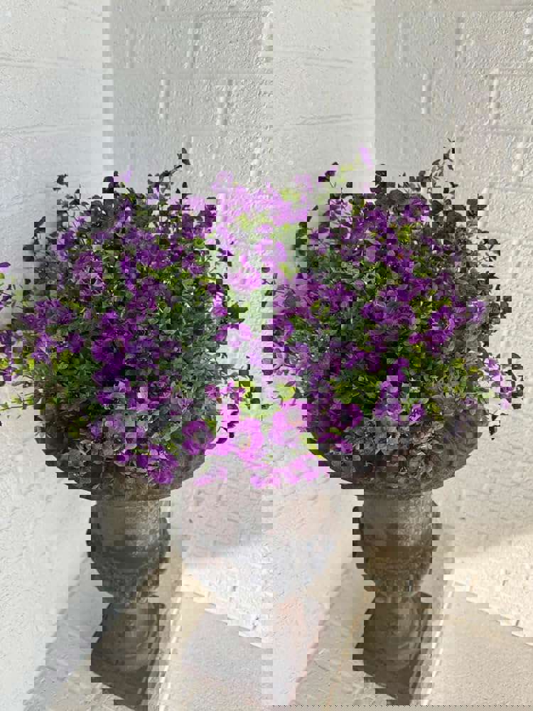 1270465