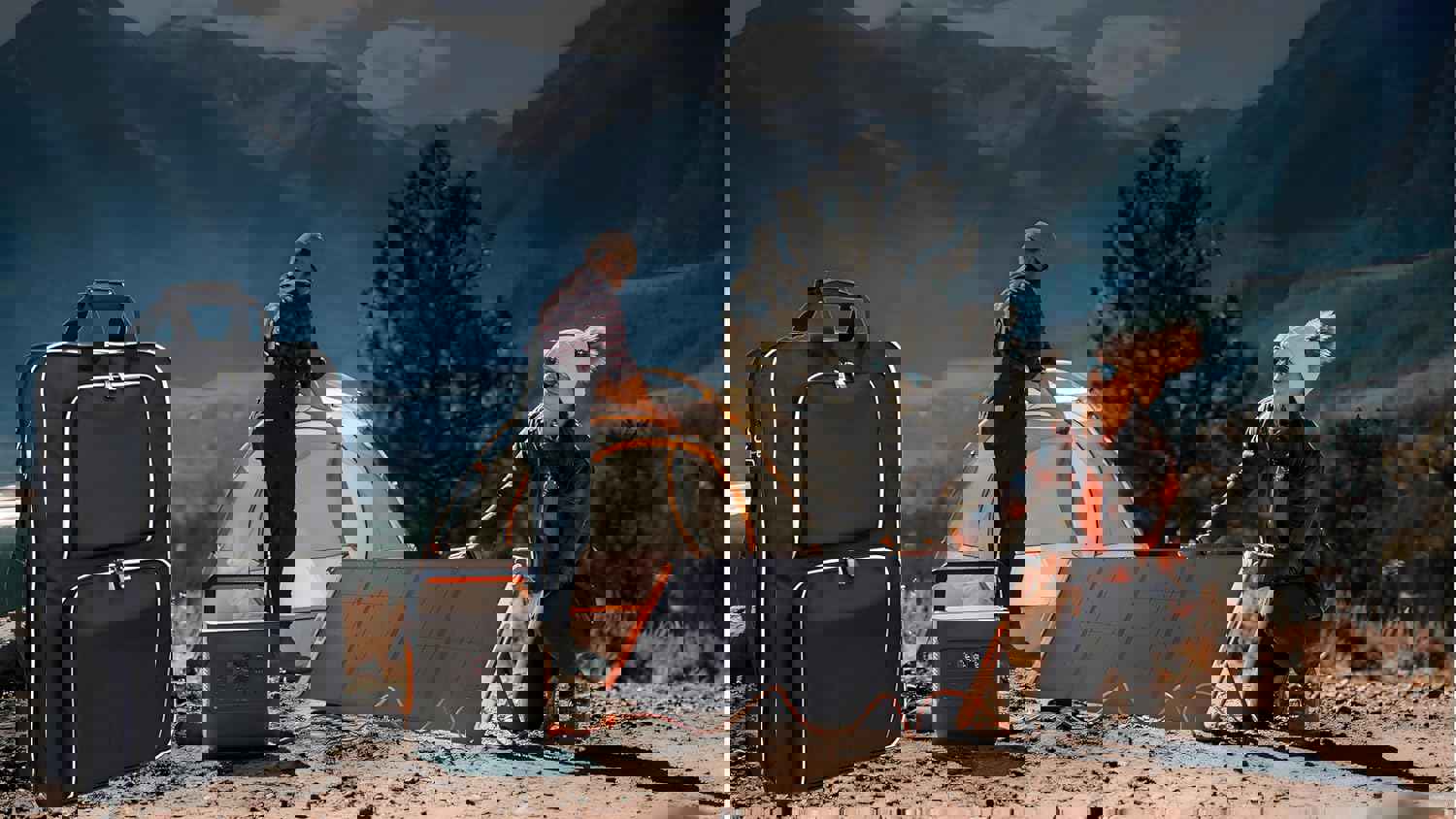 1295113
