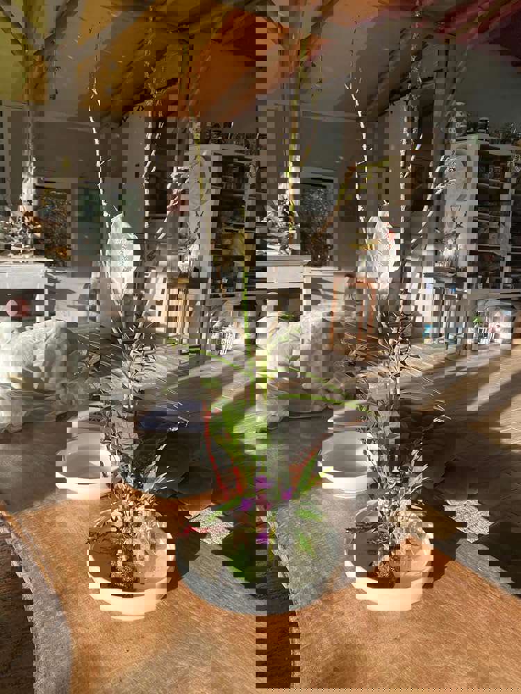1297660