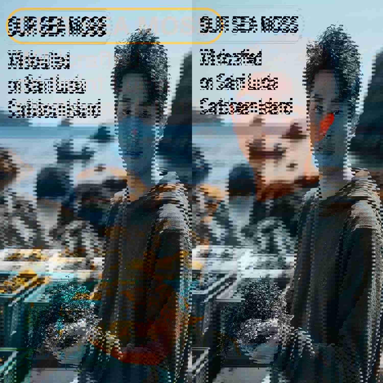 1300742