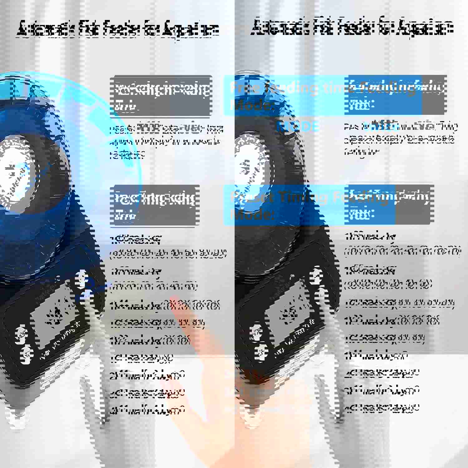 1294816