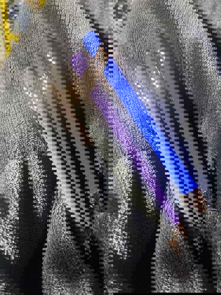 1291885