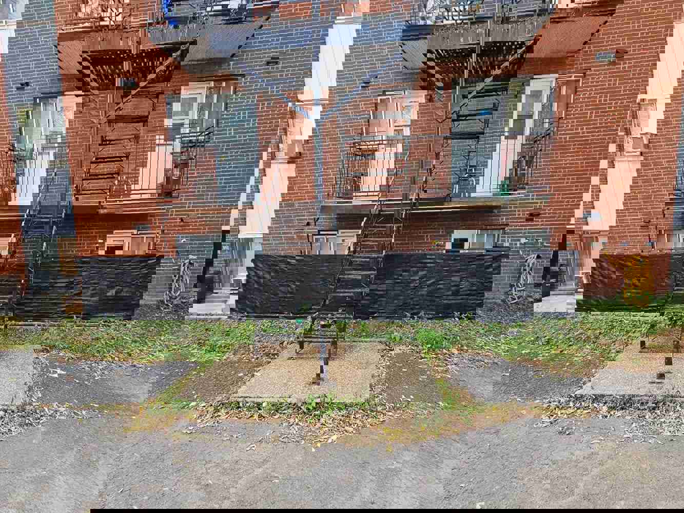 1293888