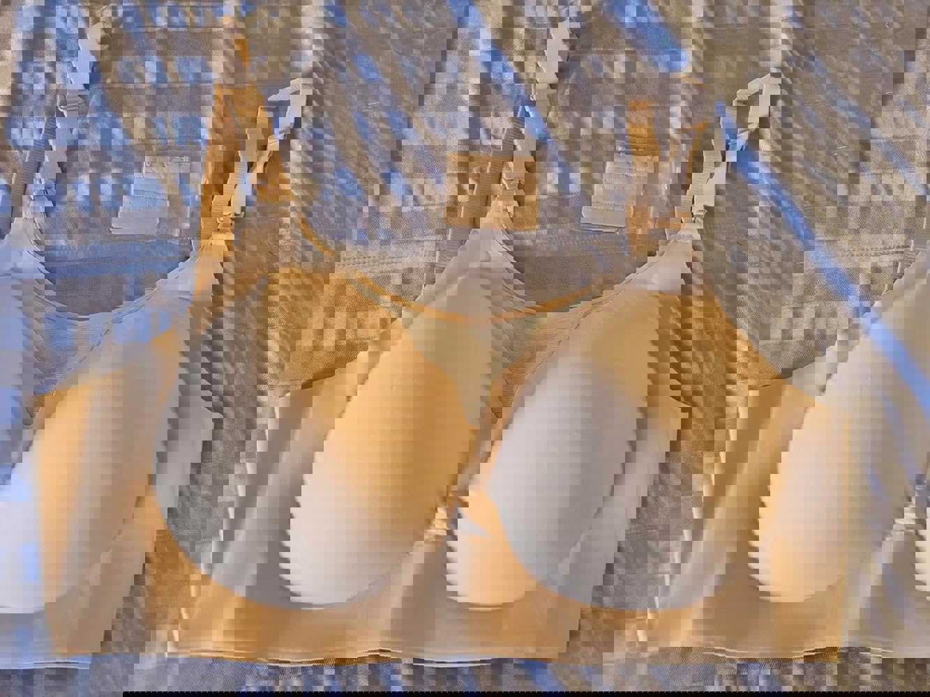 1296557