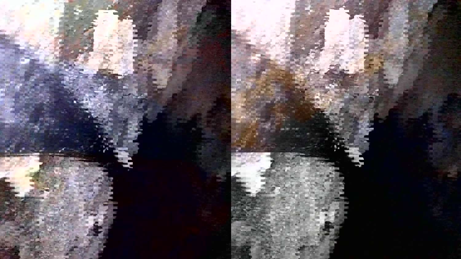1301090