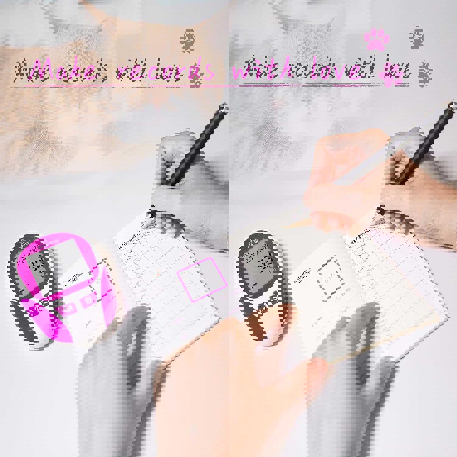 1293560