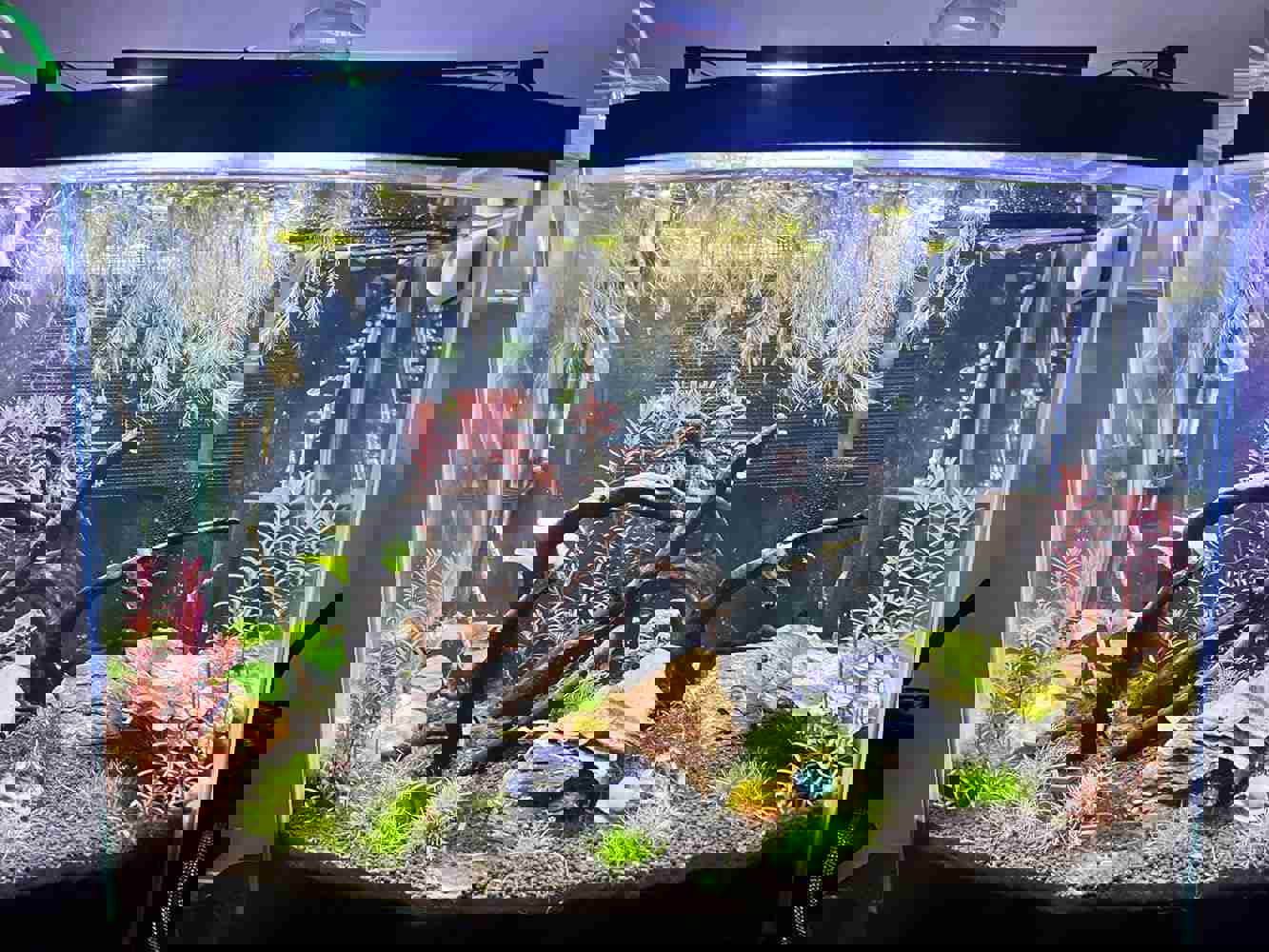 1291227