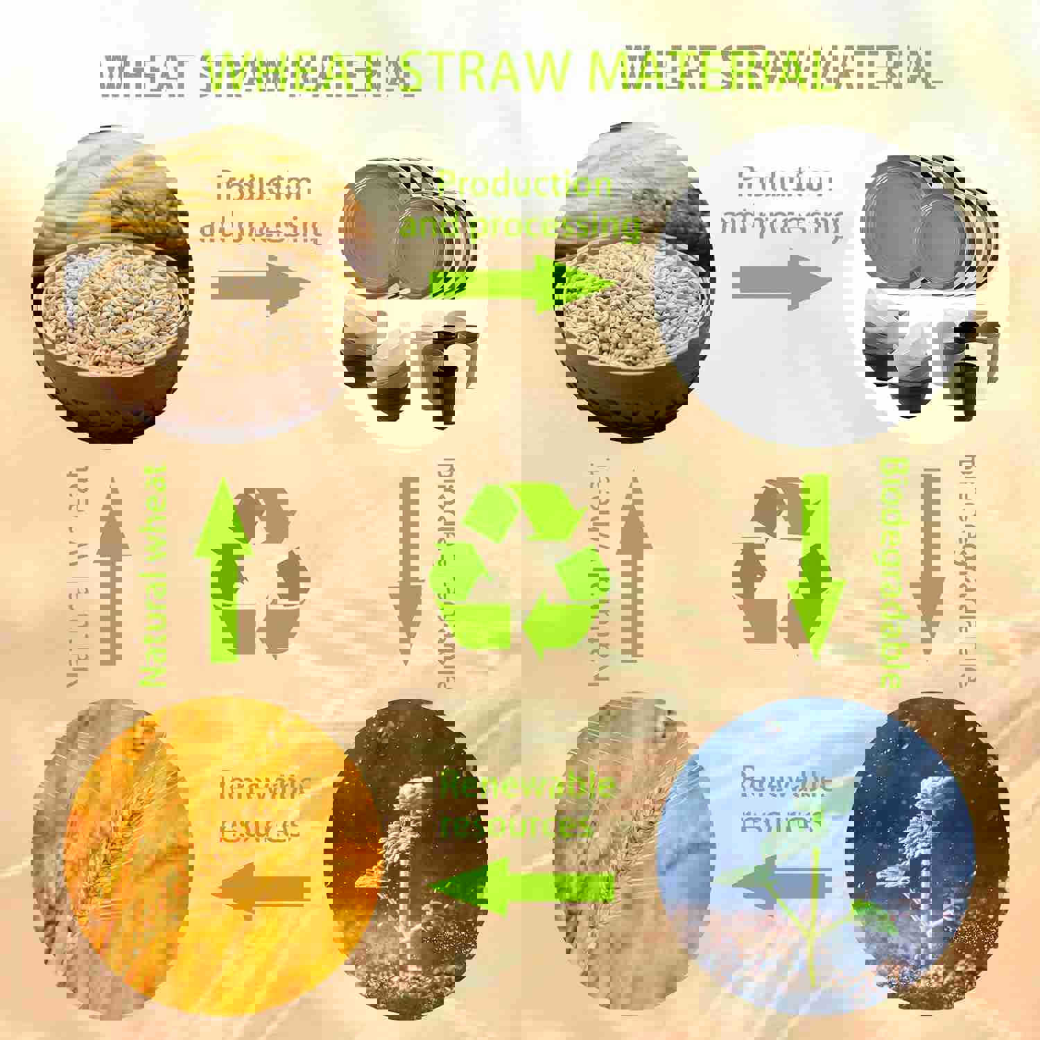 1306894