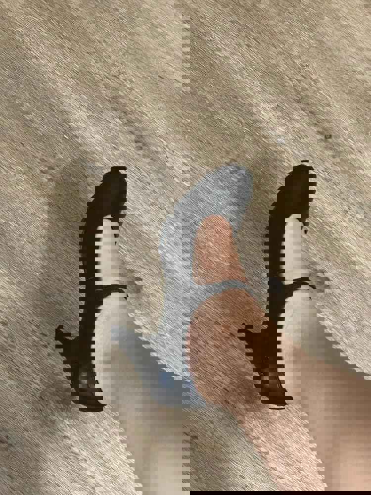 1302584