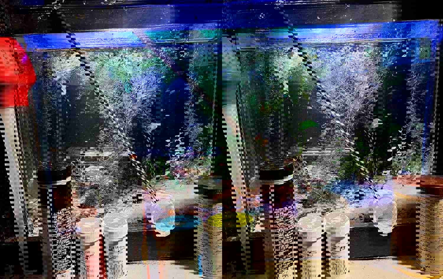 1291230