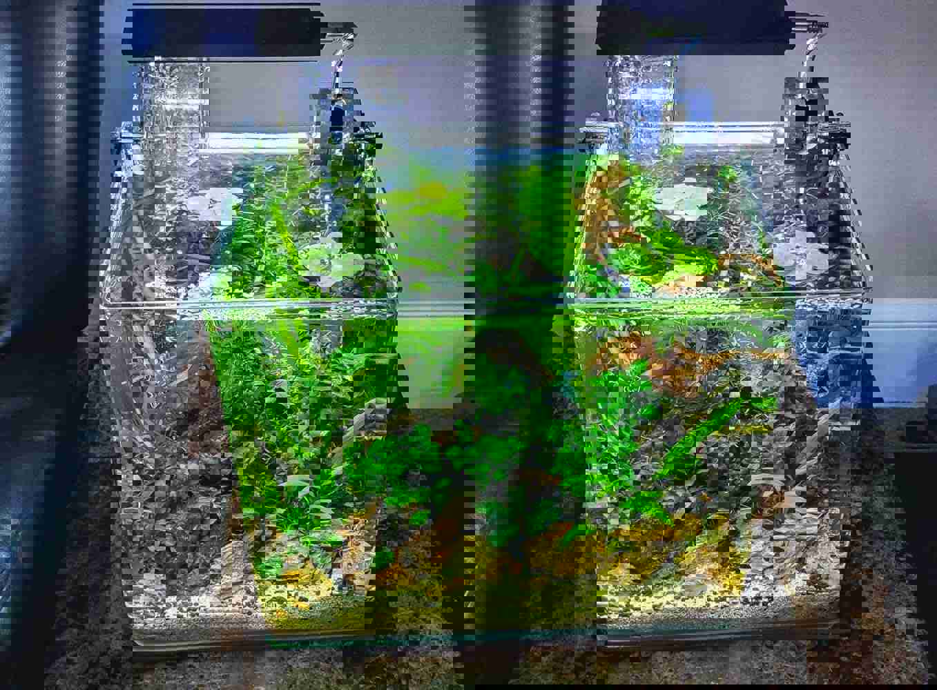 1295205