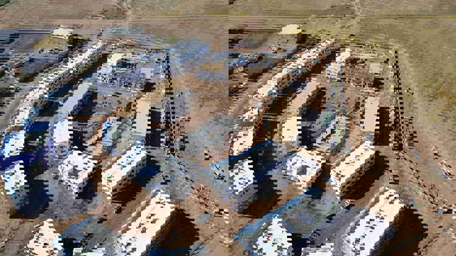 1293614