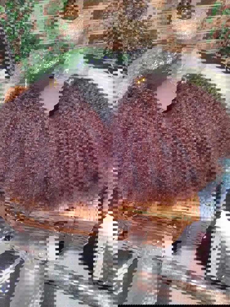 1302694