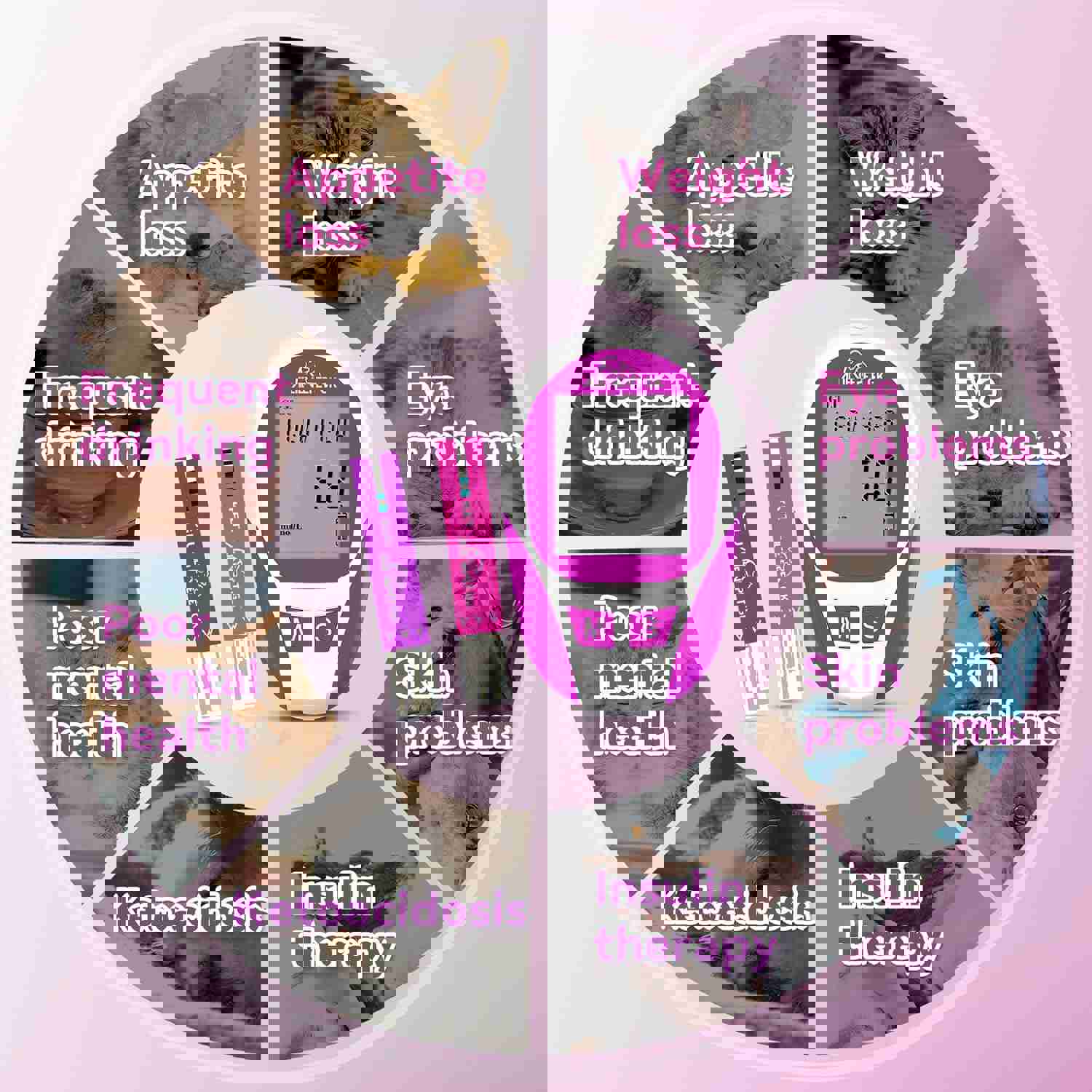 1293564
