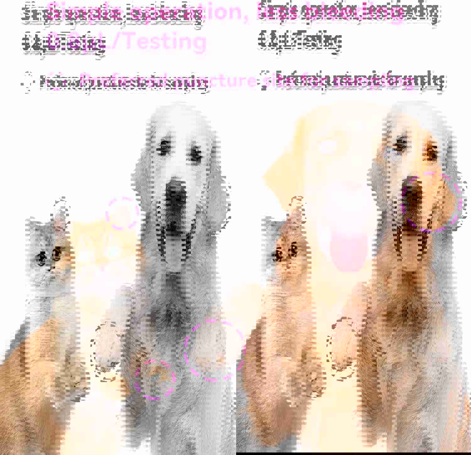 1293559