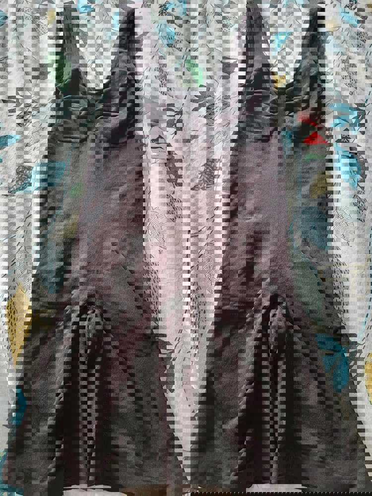 1300012
