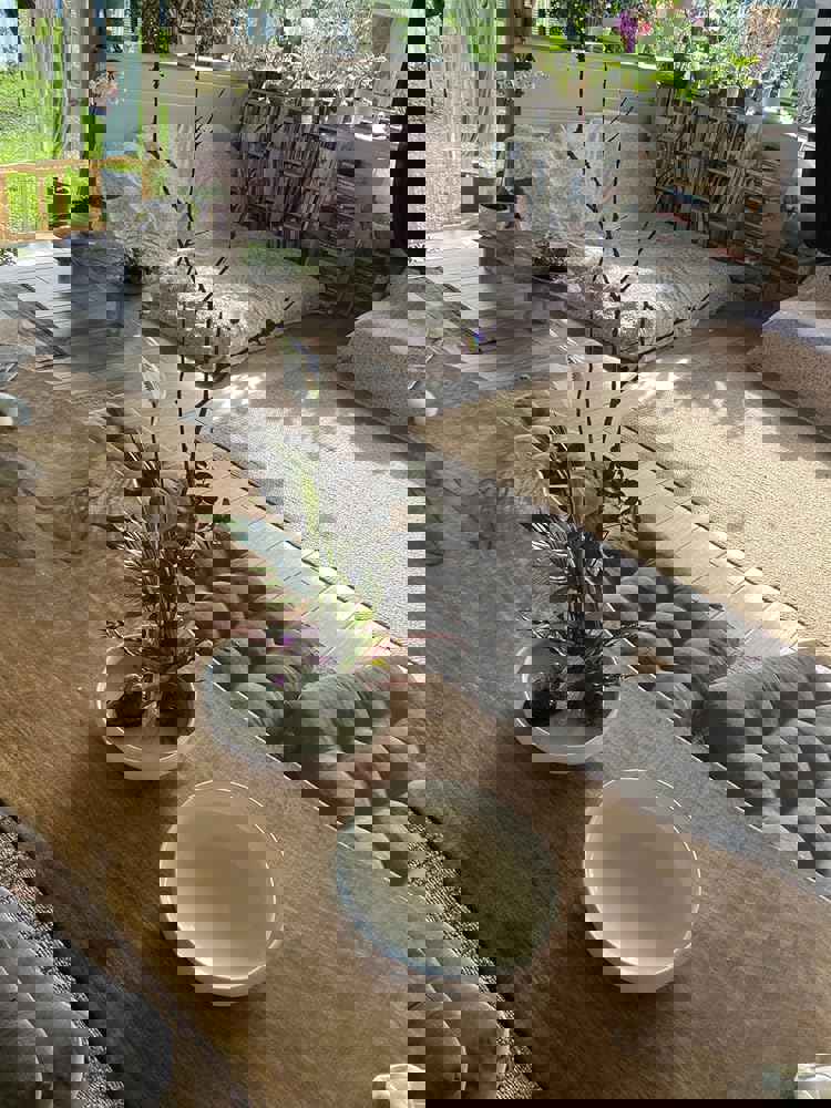 1297659