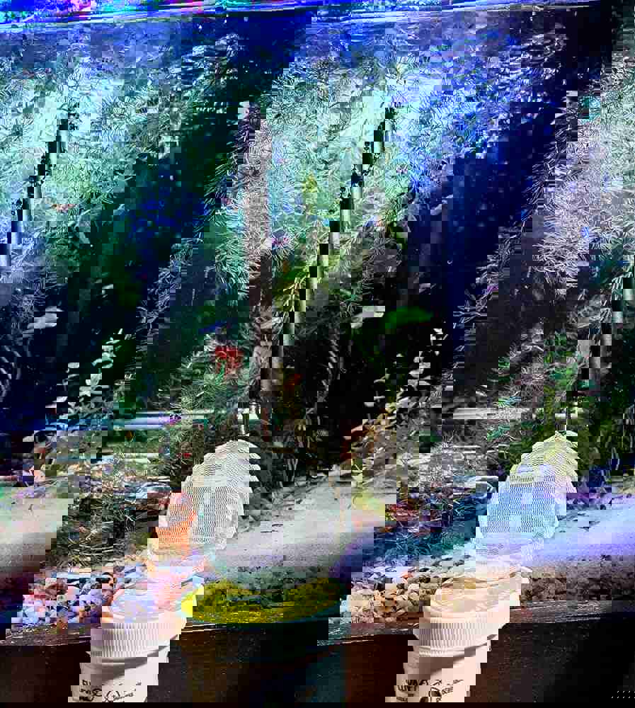 1291229