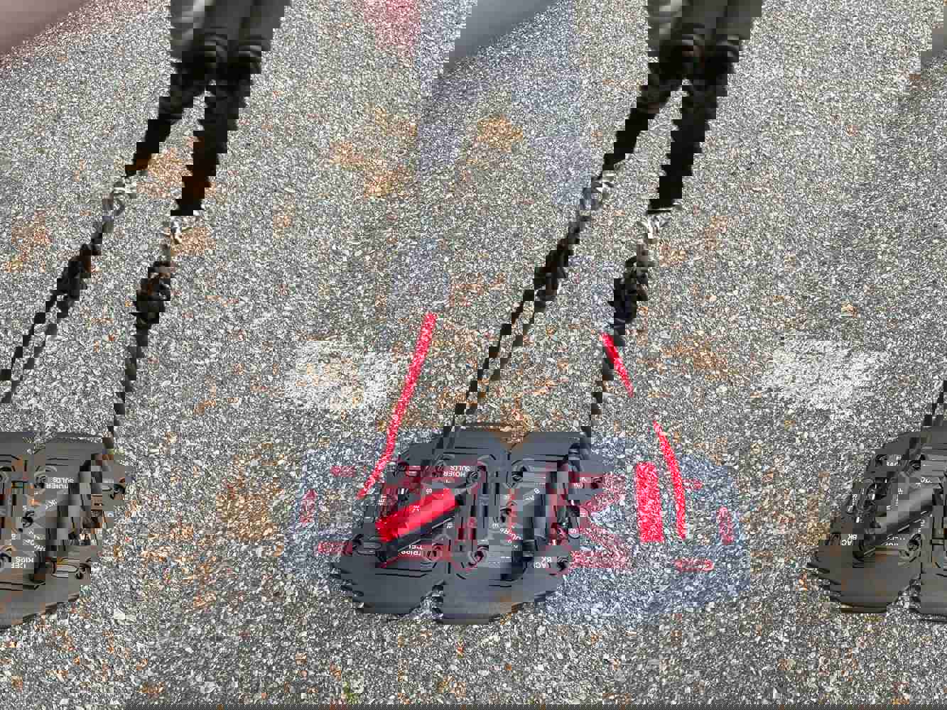 1302329