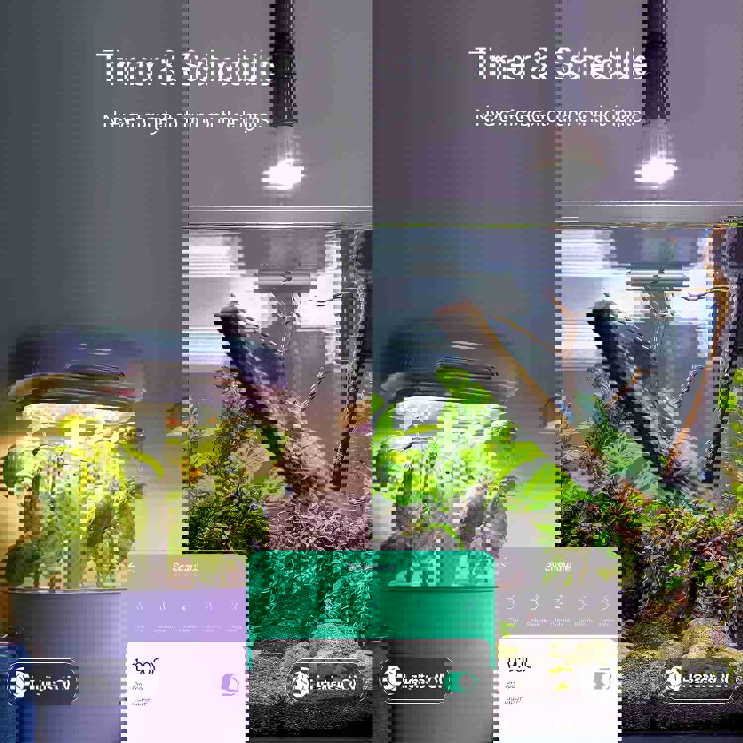 1295795
