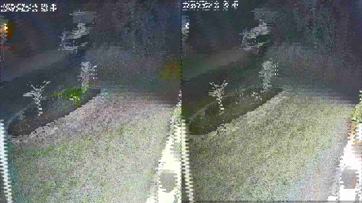 1299450
