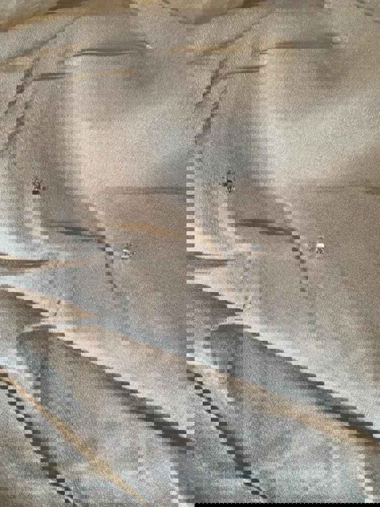 1294862