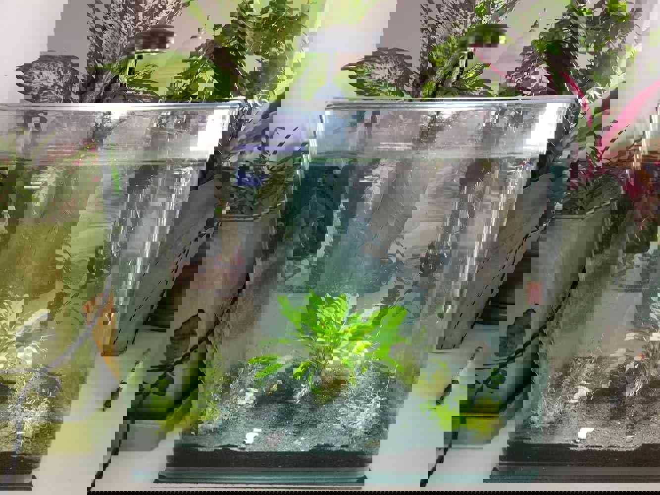 1295207