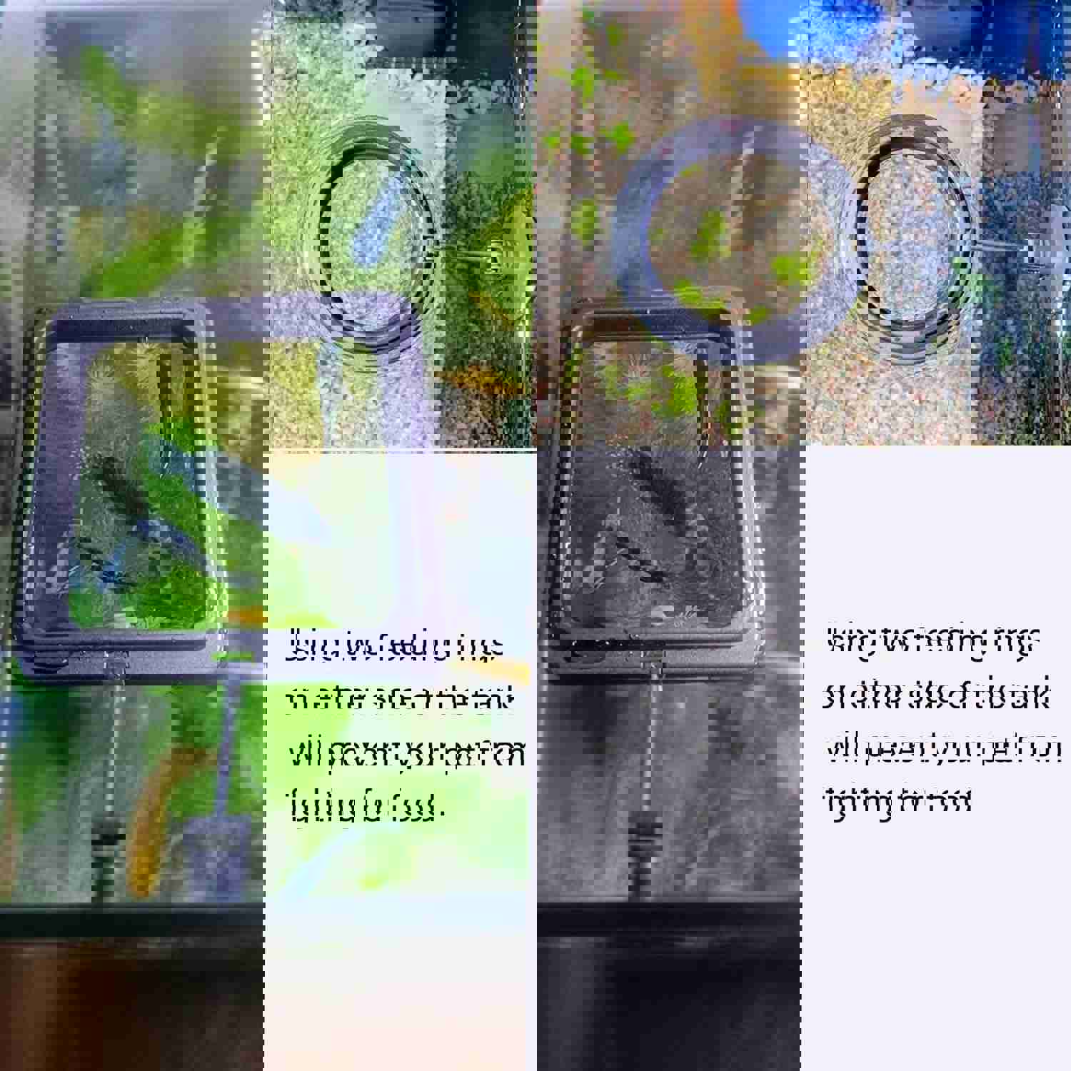 1295009