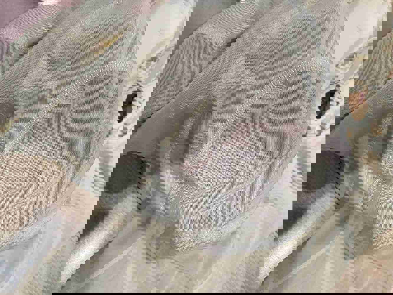 1297446