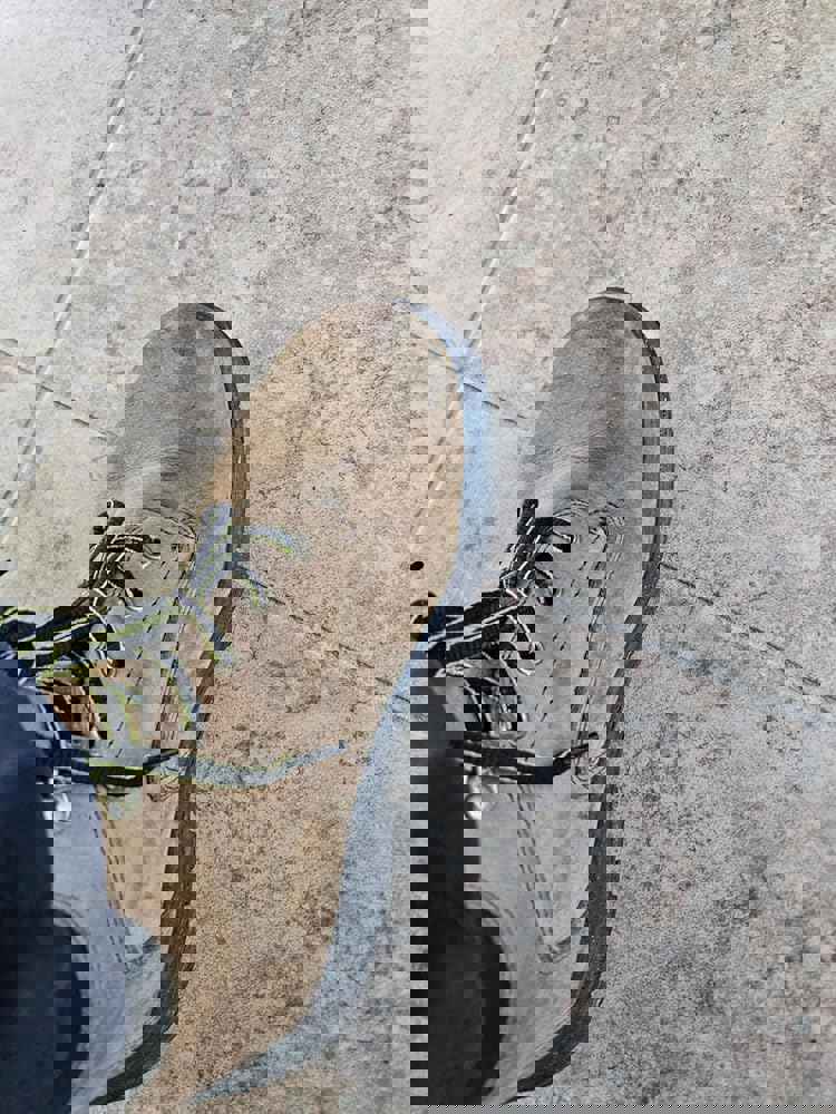 1301069