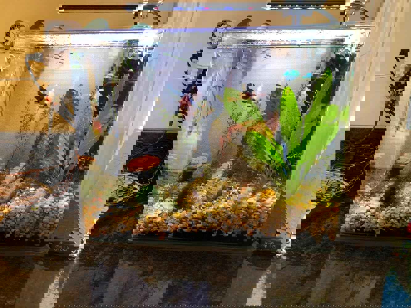 1295199