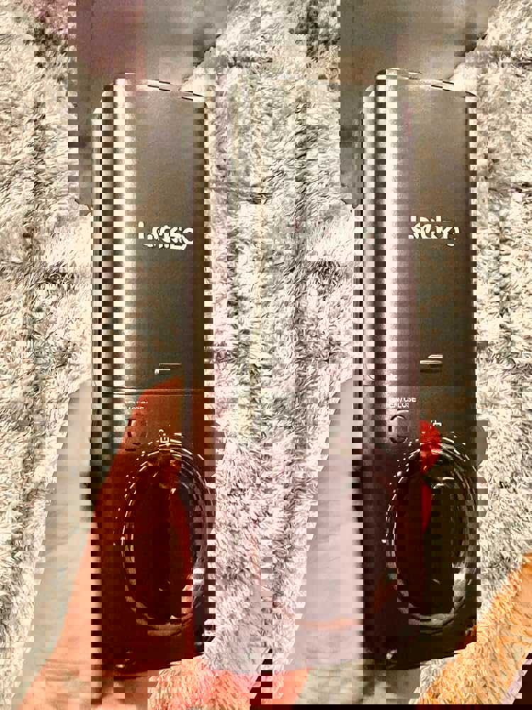 1294067
