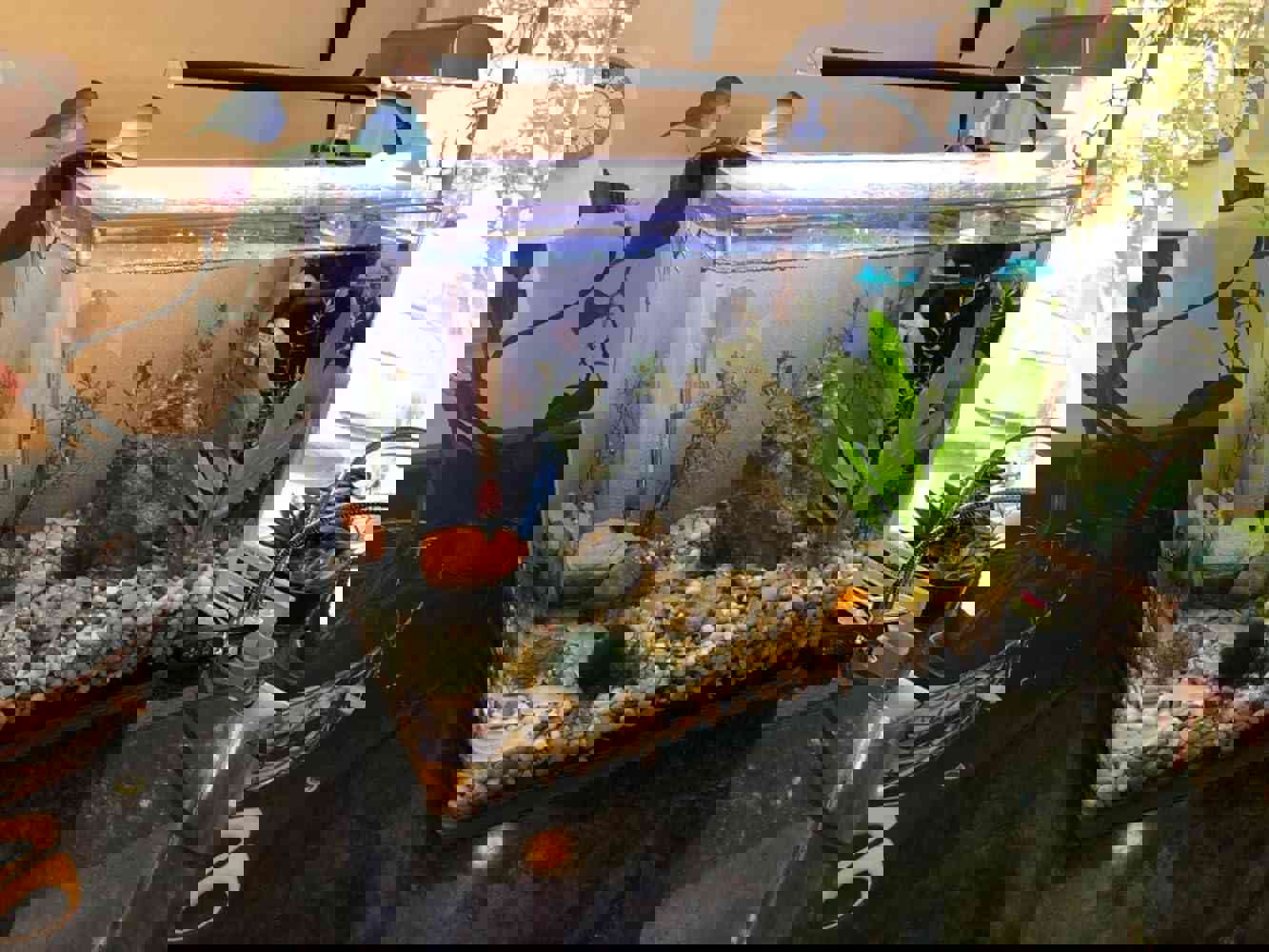 1295200