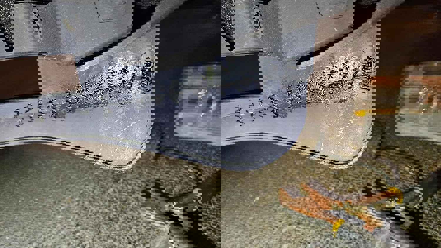 1307174