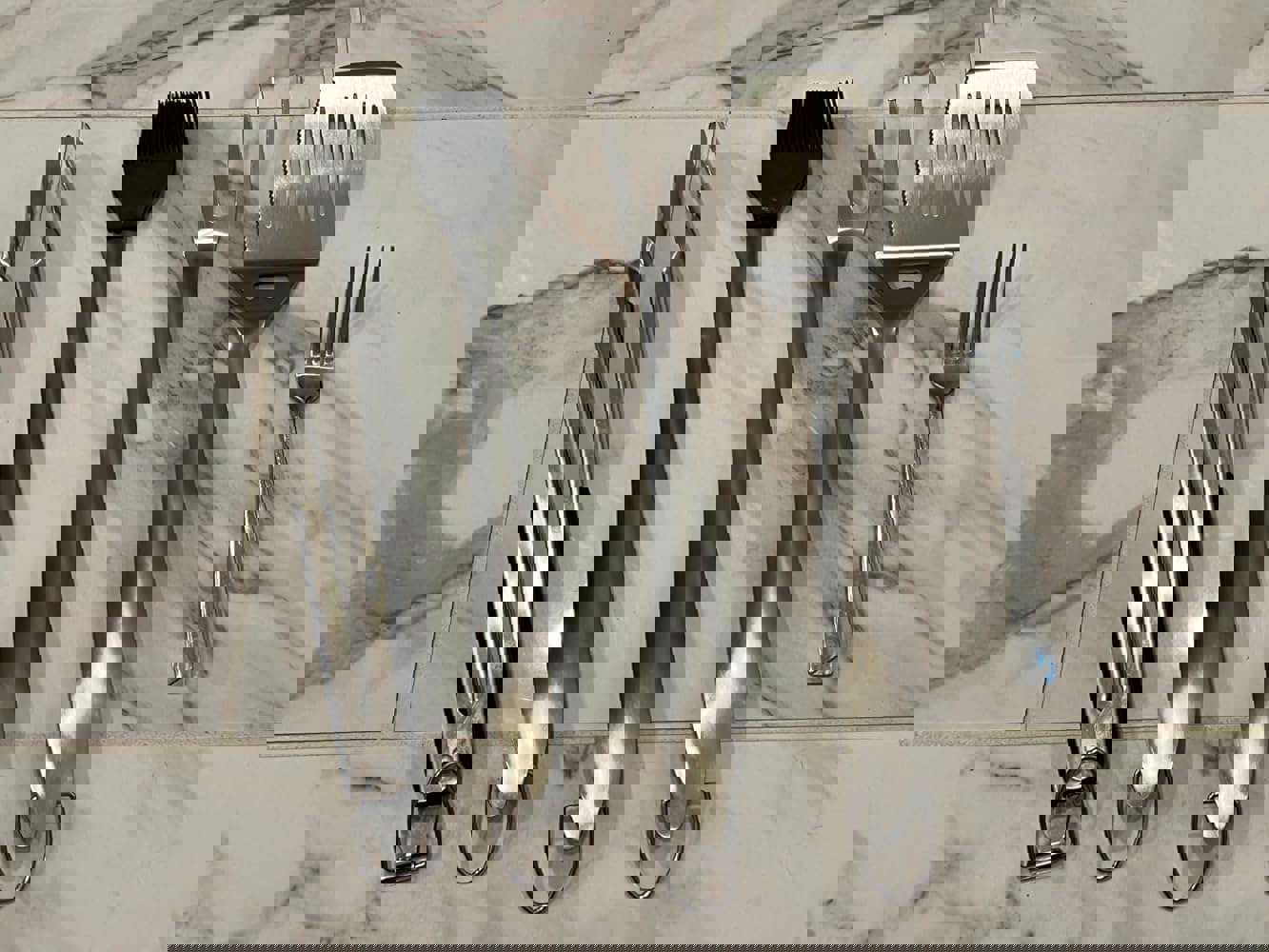 1301007