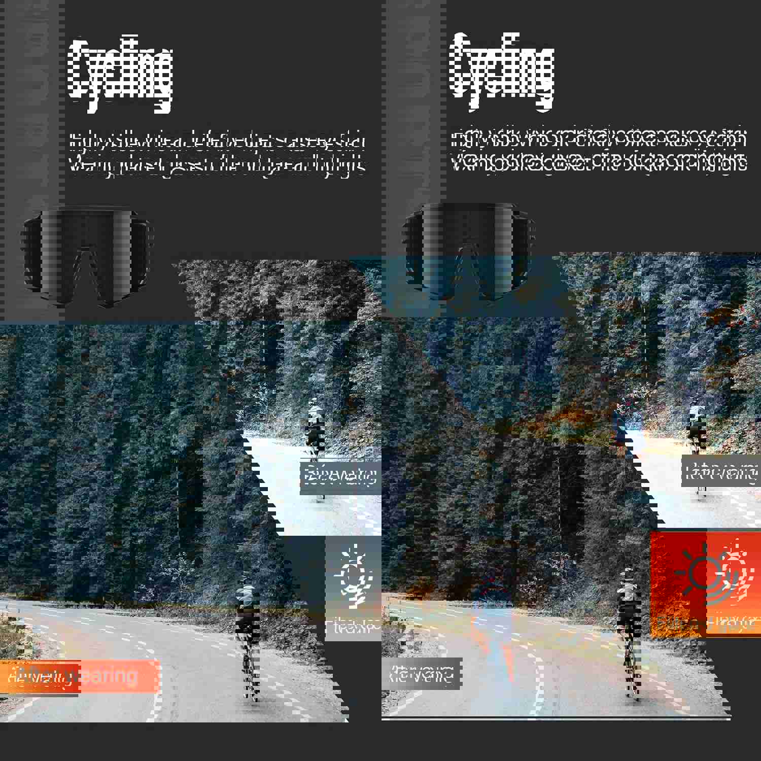 1294772
