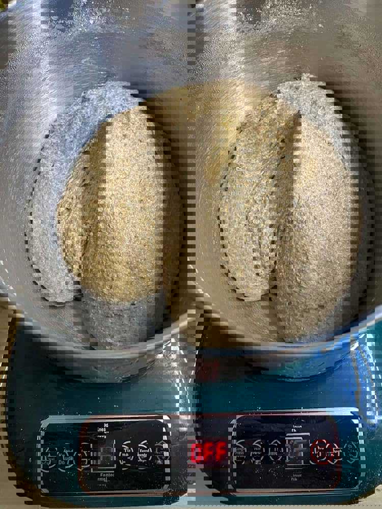 1291919