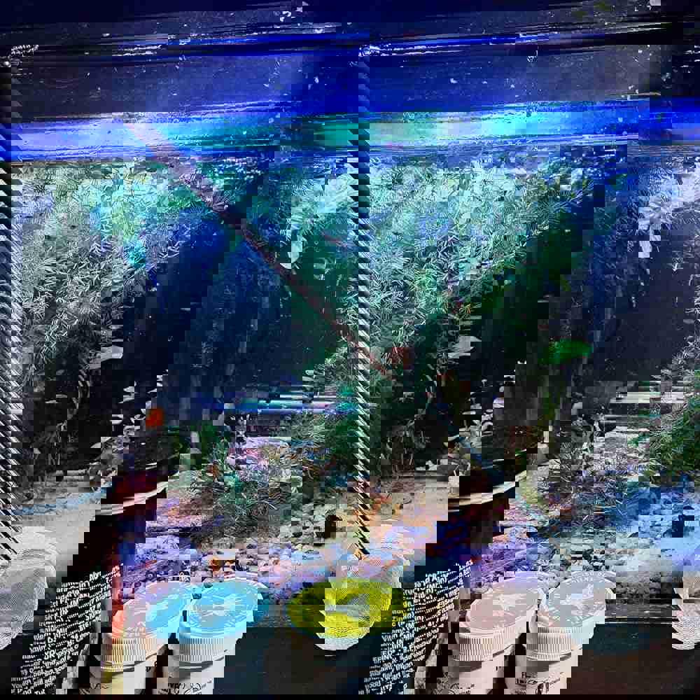 1291231