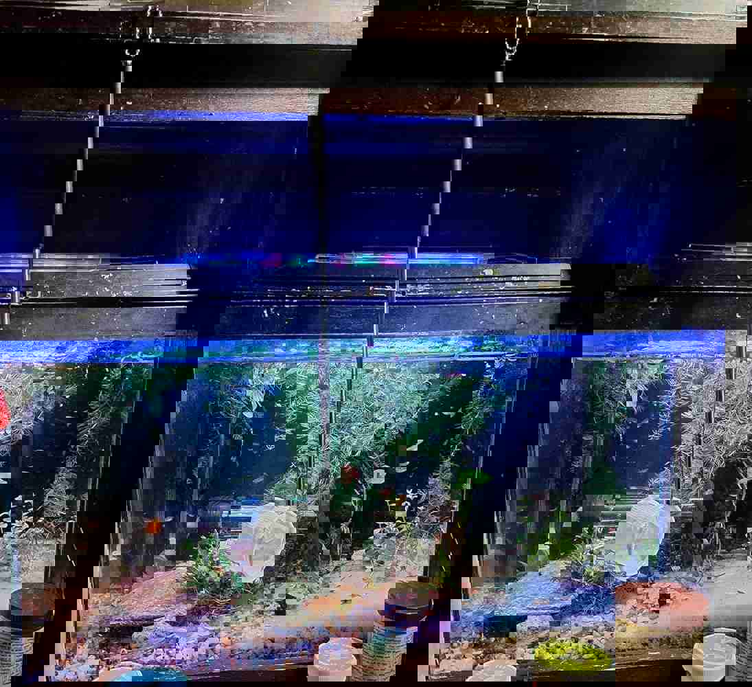 1291232