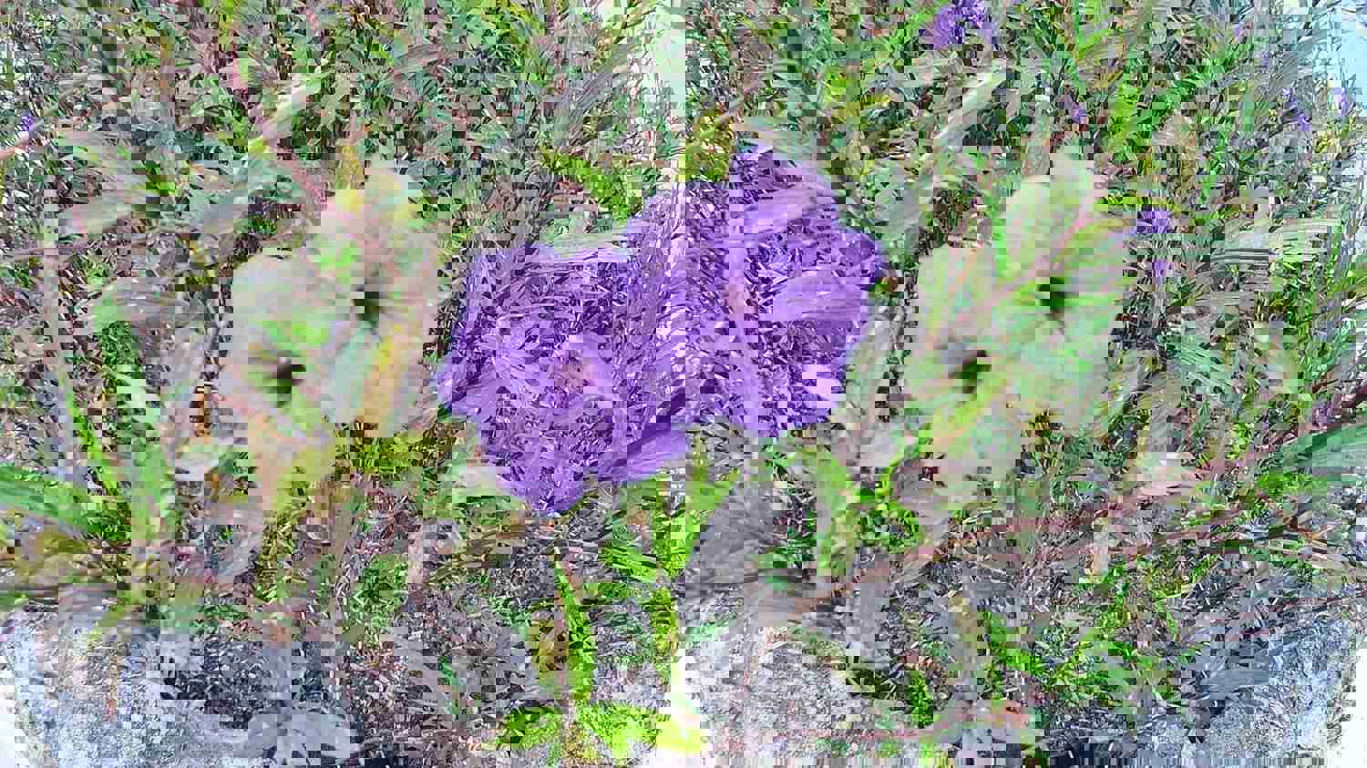1306333
