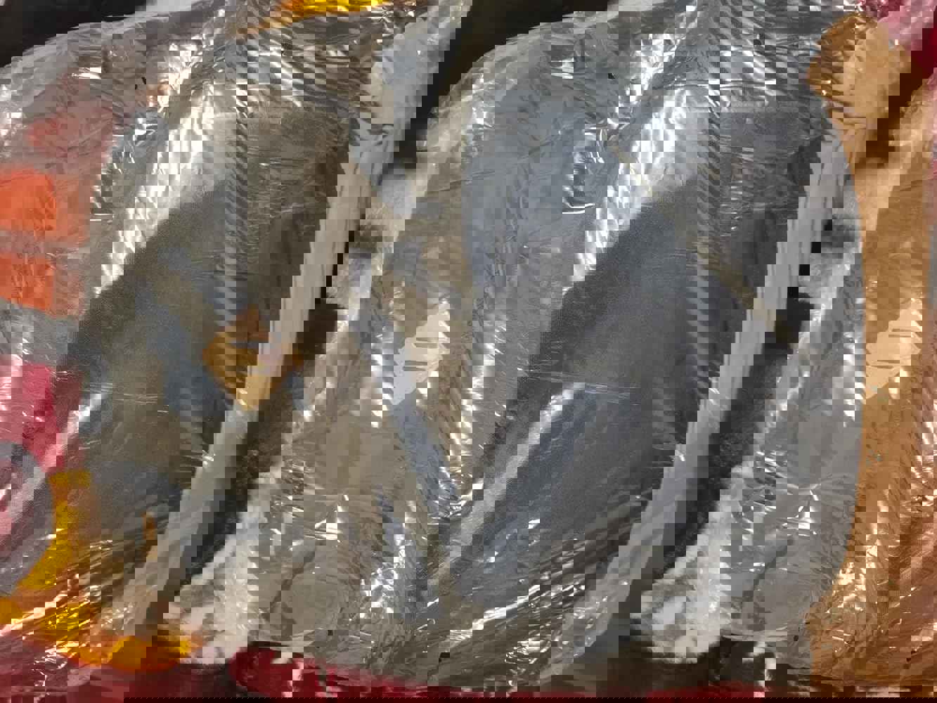 1296176