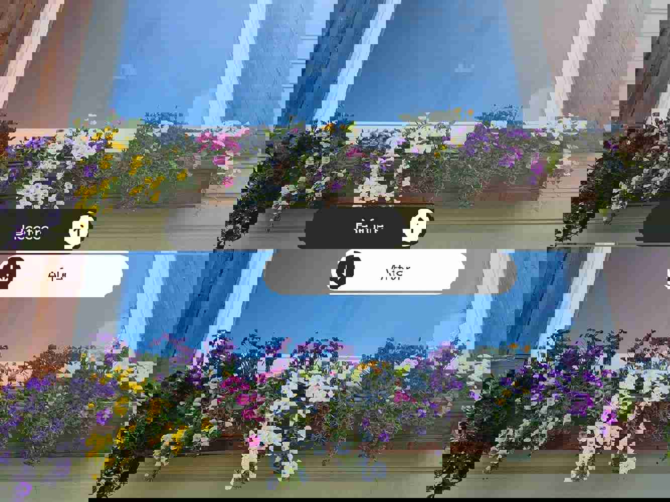 1294745
