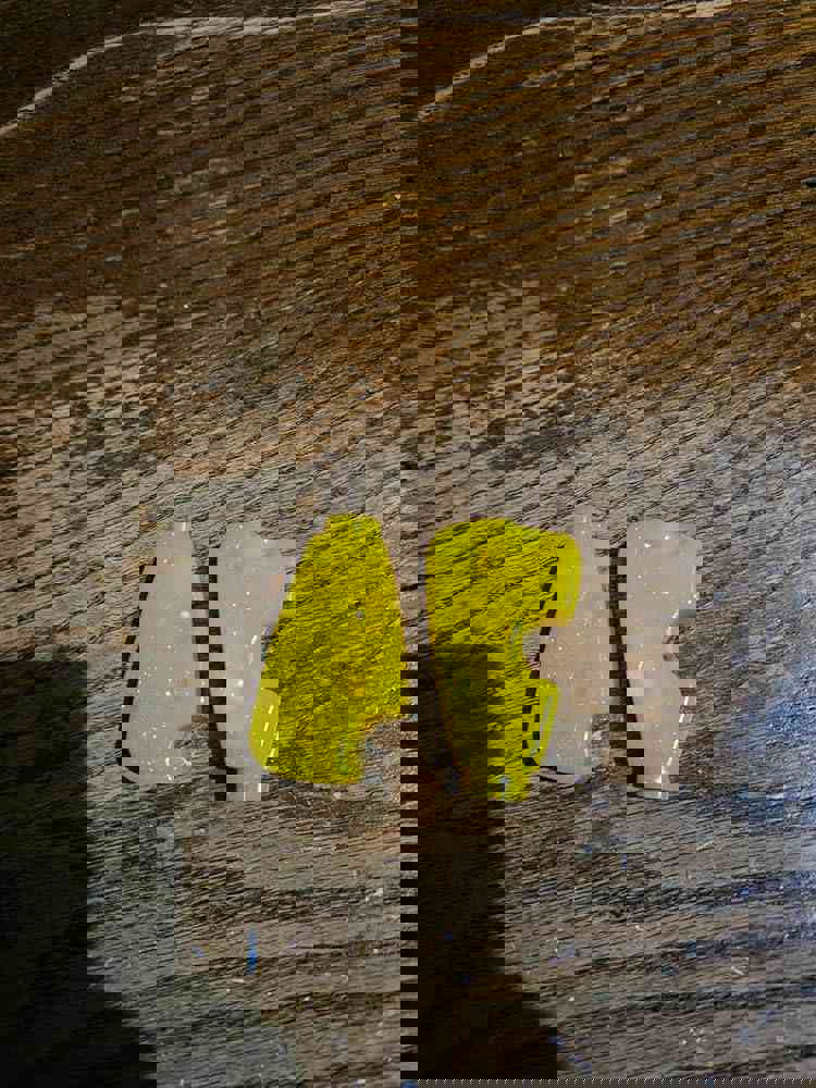 1304876