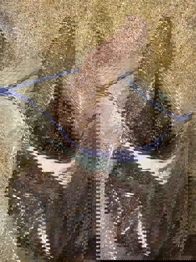 1301202