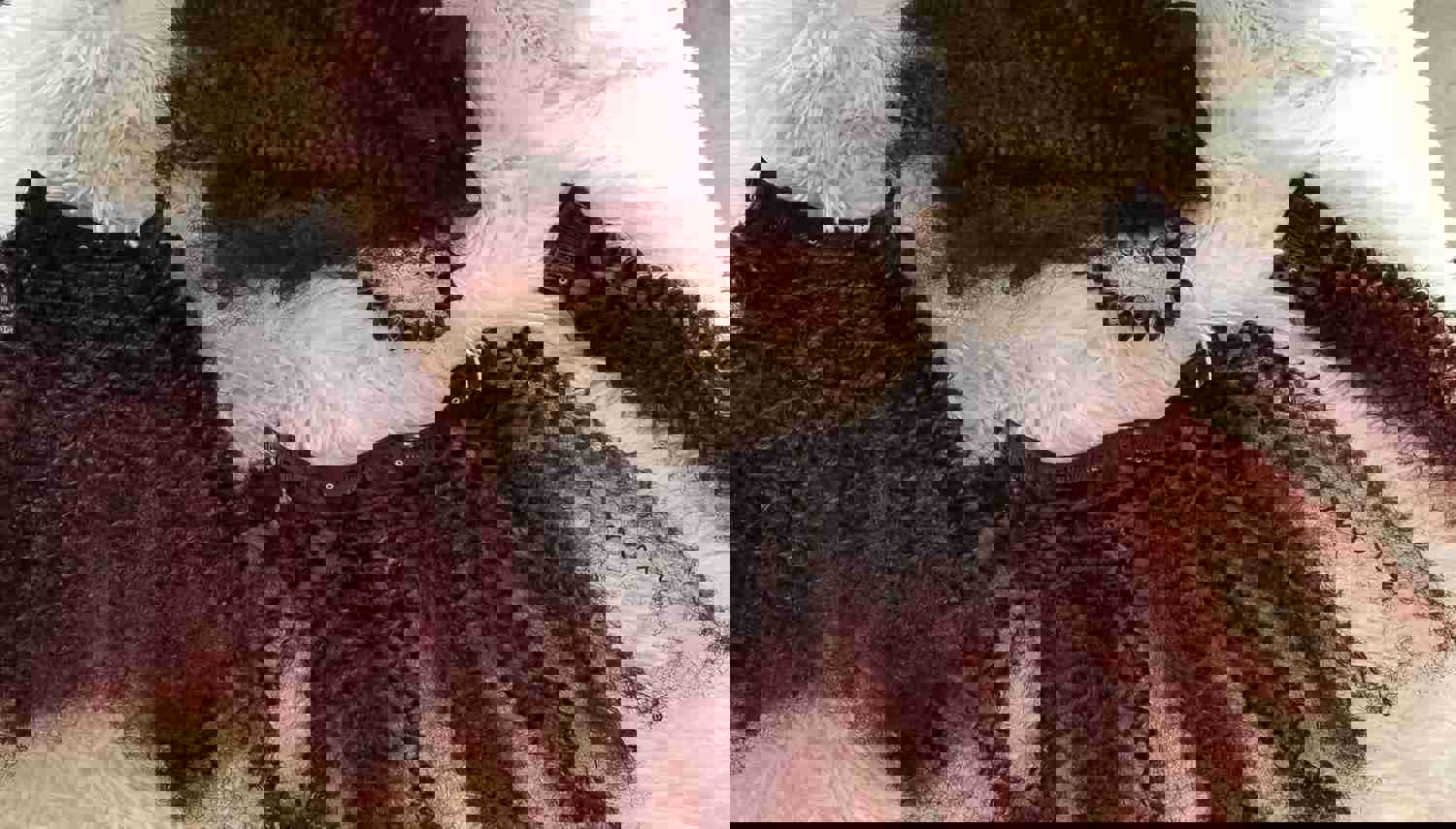 1302690